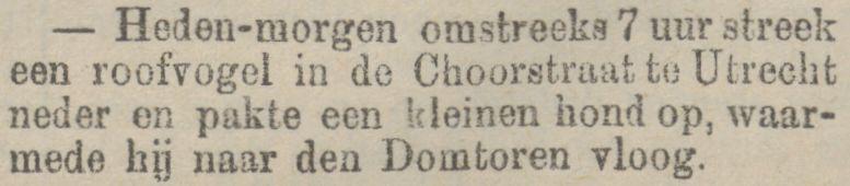 In Utrecht pakt een roofvogel een hondje, bericht 8 april 1890